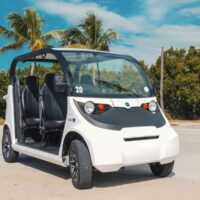 Electric Car Rentals